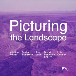 Picturing the Landscape