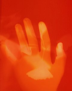 Celebrating the 2025 PhotoWork Senior Fellows