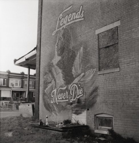 Tays Memorial, Poplar Grove, 2025