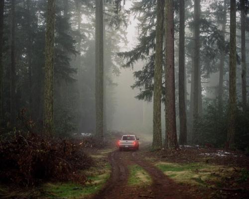 Brake Lights, Six Rivers National Forest, California, 2024