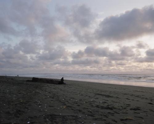 Stranger Watching Sunset, Humboldt County, California, 2024