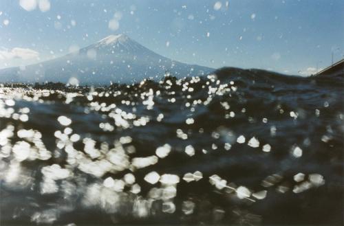 From half awake and half asleep in the water, © Asako Narahashi Kawaguchikko