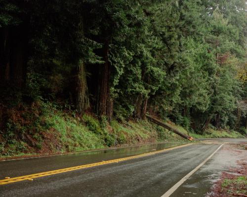 Traffic Hazard, Humboldt County, California, 2024